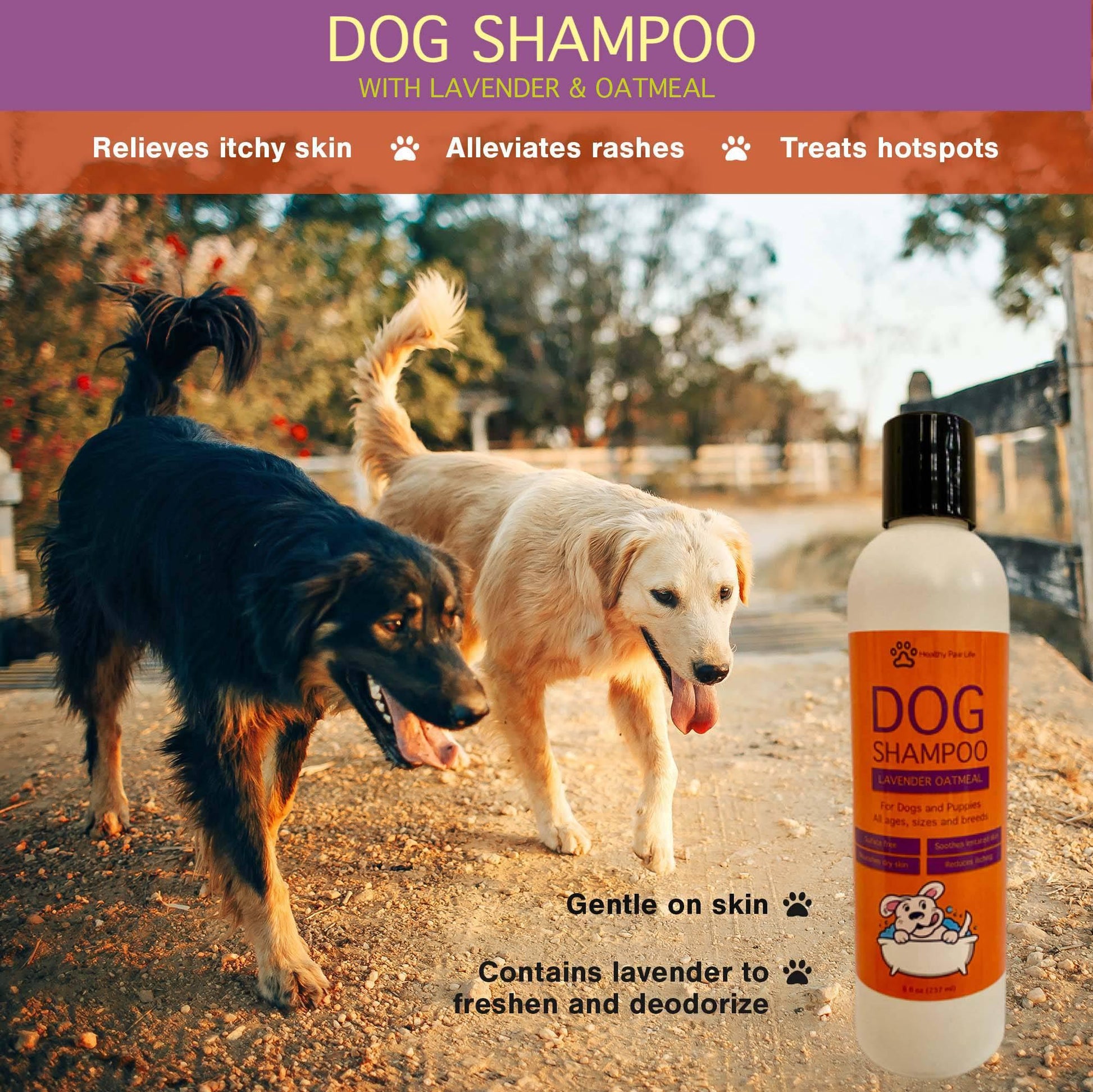 Luxurious Oatmeal Lavender Pet Shampoo